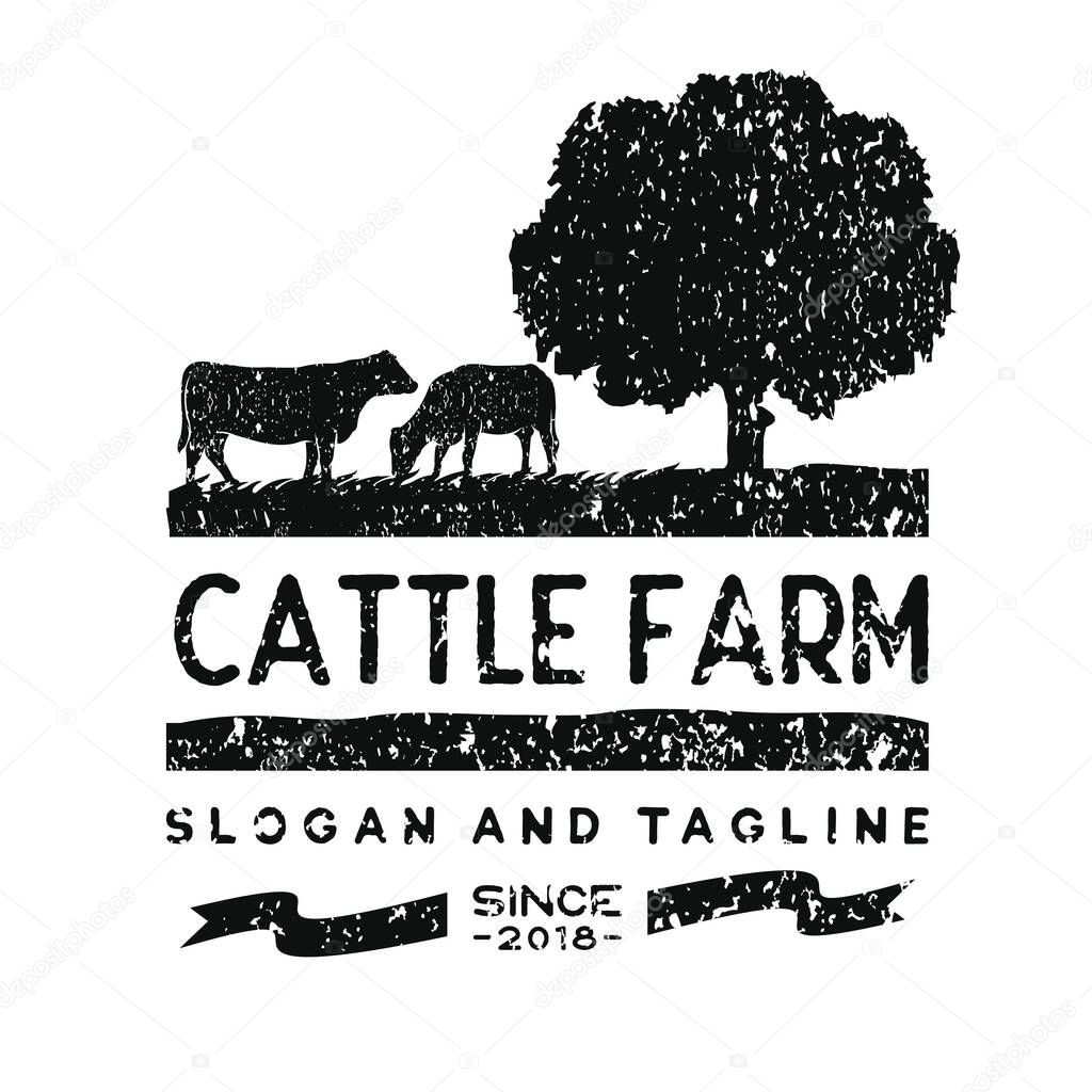 Angus, Angus Beef, Vintage Cattle / Beef logo design inspiration vector