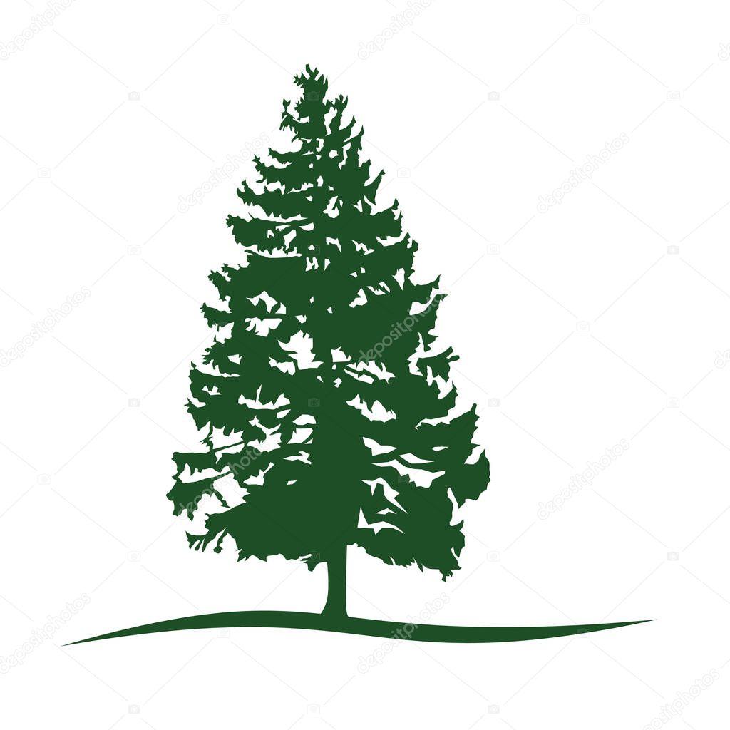 Pine Logo, Pine Tree Logo Vector