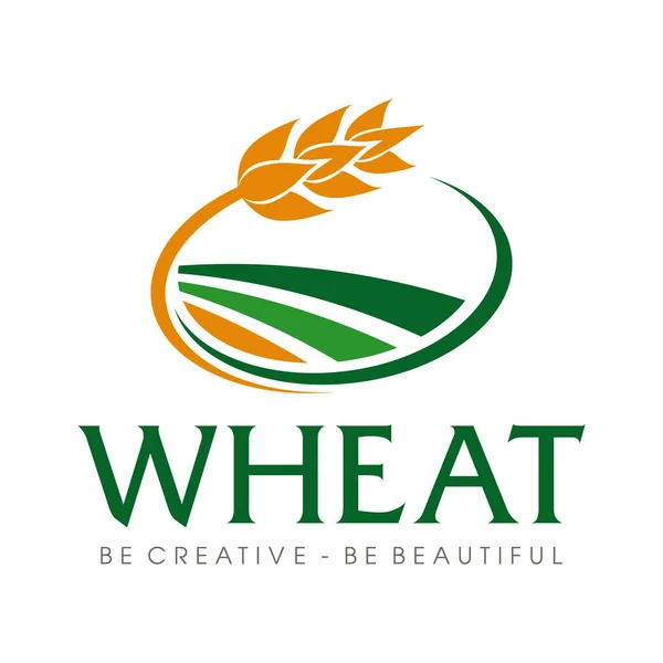 Wheat Logo Wheat Rice Agriculture Logo Inspiration Vector — Stock Vector