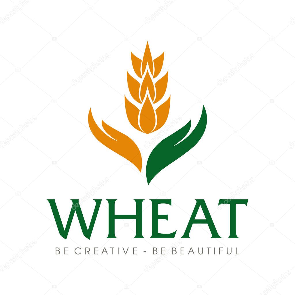 Wheat Logo, Wheat rice agriculture logo Inspiration vector