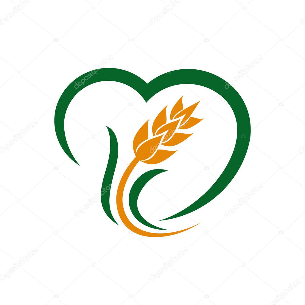 Wheat Logo, Wheat rice agriculture logo Inspiration vector