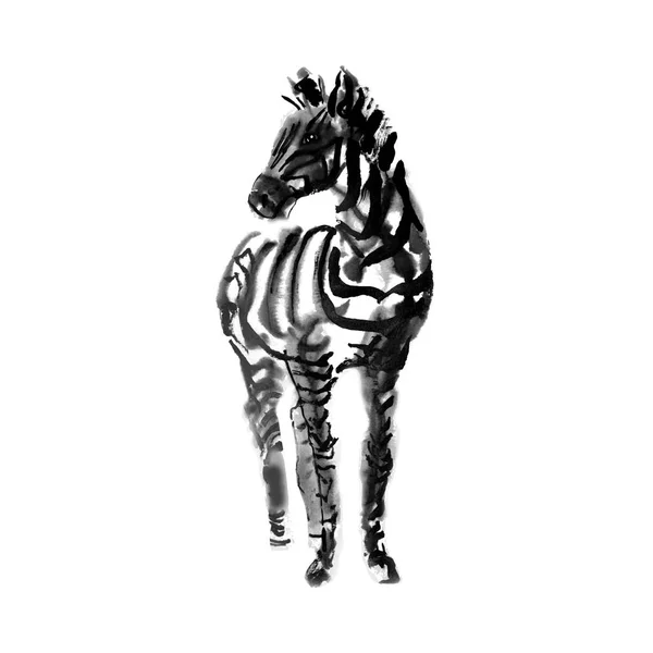 Tinta zebra esboço isolado no fundo branco. Vista frontal da zebra Ilustração desenhada à mão . — Vetor de Stock