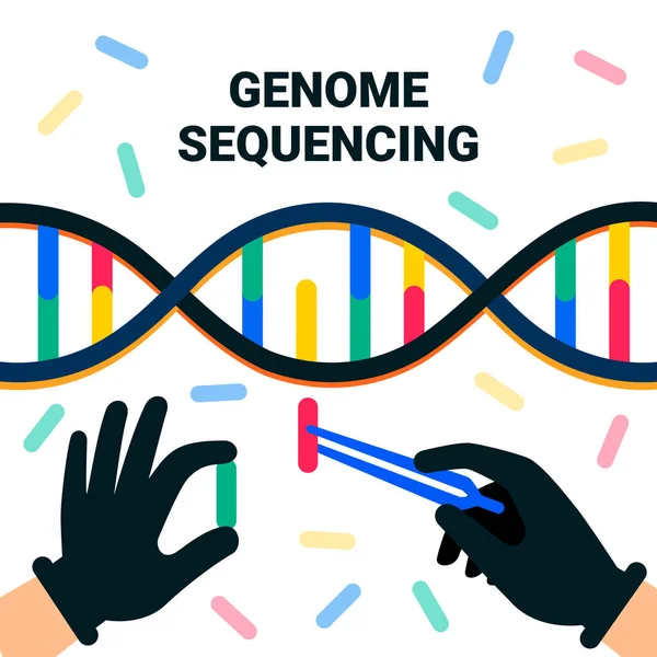 基因组测序概念 纳米技术和生物化学实验室 科学家用 Dna 螺旋线 基因组或基因结构工作的手 人类基因组项目 平面式矢量图 — 图库矢量图片