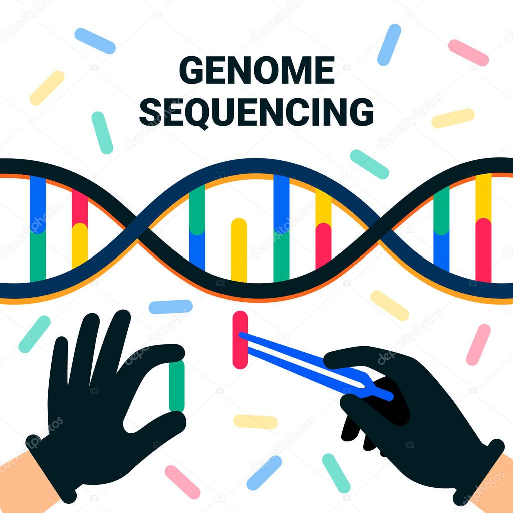 genome sequencing concept. Nanotechnology and biochemistry laboratory. The hands of a scientist working with a dna helix, genome or gene structure. Human genome project. Flat style vector illustration
