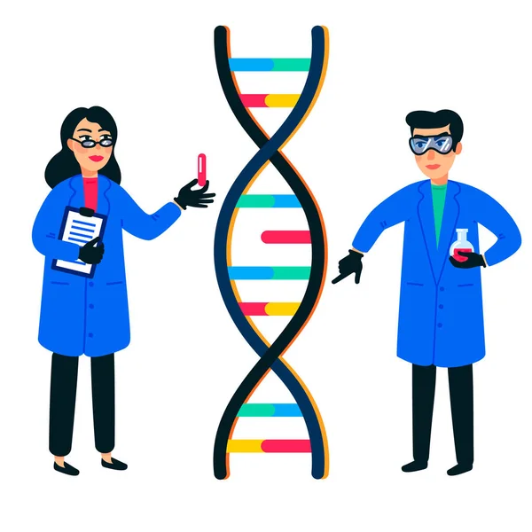 Penelitian genom manusia. Ilmuwan bekerja dengan dna helix, genom atau struktur gen. Proyek genom manusia. Ilustrasi vektor gaya datar . - Stok Vektor