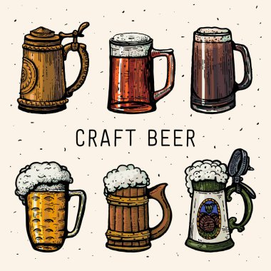 Zanaat bira. Retro tarzı bira bardağı oyma. El zanaat bira bardağı çekilmiş. Vintage illüstrasyon poster için oyma oktoberfest. Bira bardağı kroki tarzı. Vektör.