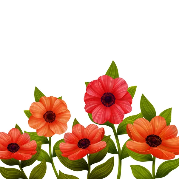 Flores. Amapolas rojas sobre fondo blanco. Ilustración vectorial . — Vector de stock