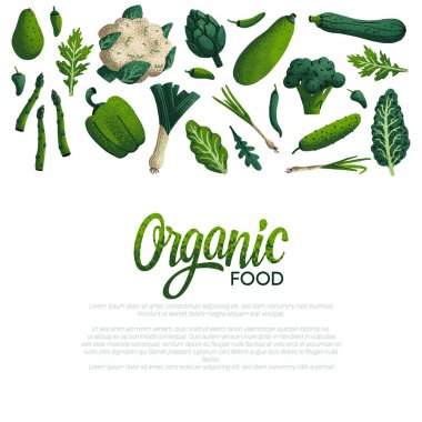Organik gıda kartı tasarımı. Beyaz arka planda tahıl dokusu ile dekoratif yeşil sebzeler çeşitliliği. Çiftçi pazarı, organik gıda poster veya afiş tasarımı. Vektör Illustration.