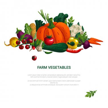 Sebzeli afiş. Konsept sağlıklı gıda, çiftlik sebzeleri. Beyaz üzerinde izole tahıl dokusu ile dekoratif sebze çeşitliliği. Vektör Illustration.