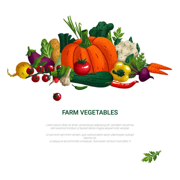 Sebzeli afiş. Konsept sağlıklı gıda, çiftlik sebzeleri. Beyaz üzerinde izole tahıl dokusu ile dekoratif sebze çeşitliliği. Vektör Illustration.