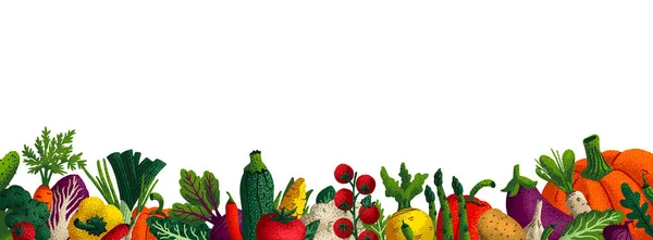 Bred horisontell vegetabilisk bakgrund. Uppfattat utrymme. Olika dekorativa grönsaker med säd struktur på vit bakgrund. Bönder marknaden, ekologisk mat affisch, omslag eller banner design. Vektor. — Stock vektor
