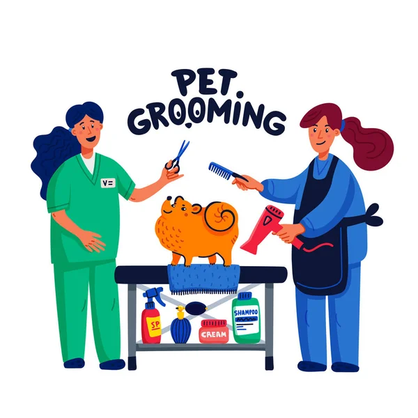 Lindo perro en el salón de peluquería. Dos jóvenes esquilando y peinando spitz. Cuidado de perros, aseo, higiene, salud. Tienda de mascotas, accesorios. Ilustración de vector de estilo plano . — Vector de stock