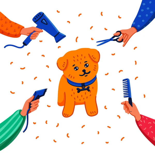 Pet grooming conceito. Happy lap-dog e mãos com pente, secador de cabelo, tesoura e cortador de cabelo no fundo branco. Cuidados com os cães, higiene, higiene, saúde. Ilustração vetorial de estilo plano . —  Vetores de Stock