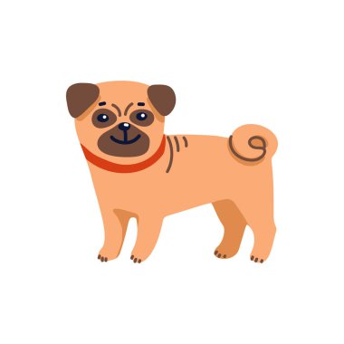 Beyaz arka plan üzerinde Mutlu karikatür köpek yavrusu pug. Köpek güzellik salonu. Spa komik köpek karakteri. Köpek bakımı, bakım, hijyen, sağlık. Evcil hayvan dükkanı, aksesuarlar. Düz stil vektör çizimi.