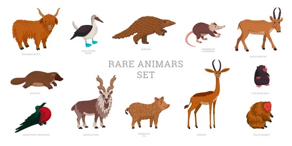 Recolha de animais raros. World Rarest Animals. Ilustração vetorial de estilo plano isolada no fundo branco . — Vetor de Stock
