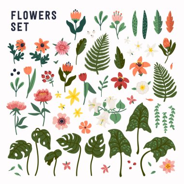 Çiçek seti. Vahşi ve bahçe açan çiçek koleksiyonu, dekoratif çiçek tasarımı elementleri..