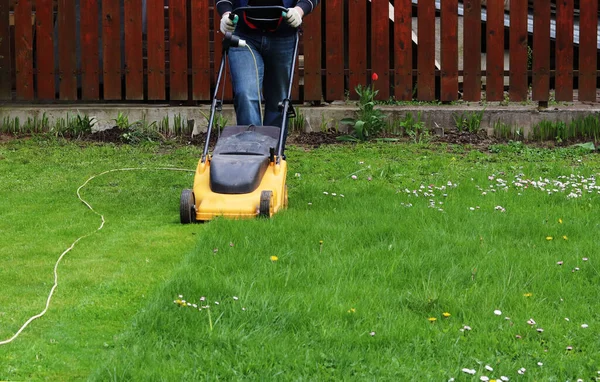 Man Maait Gras Met Een Grasmaaier — Stockfoto