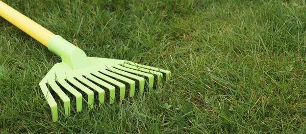 Kids Speelgoed Groen Gras — Stockfoto