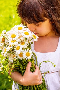Sahada elinde papatyalar olan bir kız. Seçici odaklanma. Çiçek