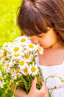 Sahada elinde papatyalar olan bir kız. Seçici odaklanma. Çiçek