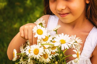 Sahada elinde papatyalar olan bir kız. Seçici odaklanma. Çiçek