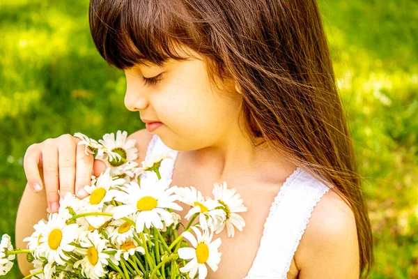 Mädchen Mit Gänseblümchen Der Hand Auf Dem Feld Selektiver Fokus — Stockfoto