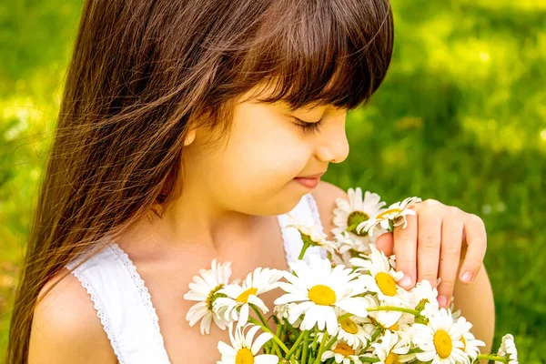 Mädchen Mit Gänseblümchen Der Hand Auf Dem Feld Selektiver Fokus — Stockfoto