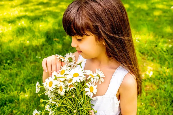 Menina Com Margaridas Nas Mãos Campo Focus Flower Seletivo — Fotografia de Stock