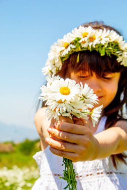 Sahada elinde papatyalar olan bir kız. Seçici odaklanma. Çiçek