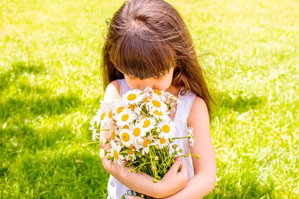 Mädchen Mit Gänseblümchen Der Hand Auf Dem Feld Selektiver Fokus — Stockfoto