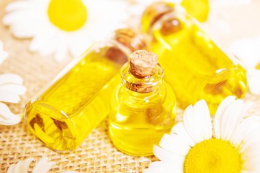 Çuval bezinde papatya çayı özütü. seçici odak