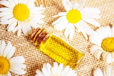 Çuval bezinde papatya çayı özütü. seçici odak