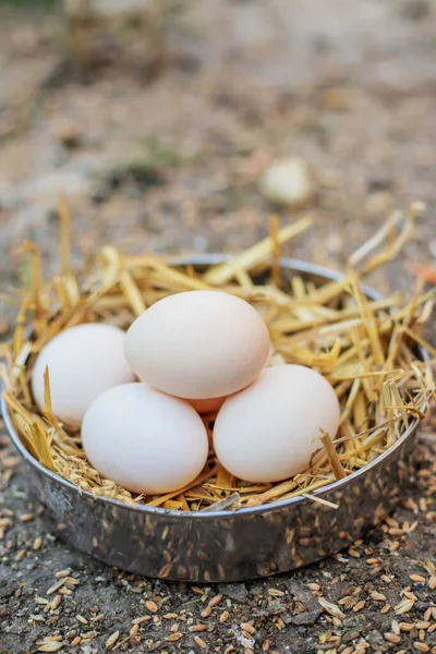 Huevos Pollo Frescos Heno Una Granja Focus Food Selectivo — Foto de Stock