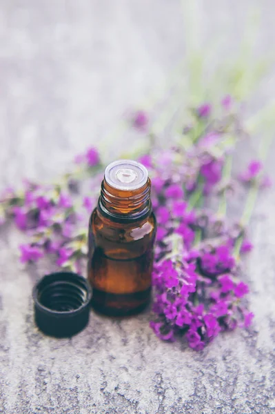 Aceite Esencial Lavanda Una Botella Pequeña Enfoque Selectivo Naturaleza — Foto de Stock