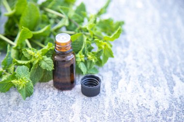 Küçük bir şişede nane yağı. Seçici odaklanma. Doğa.