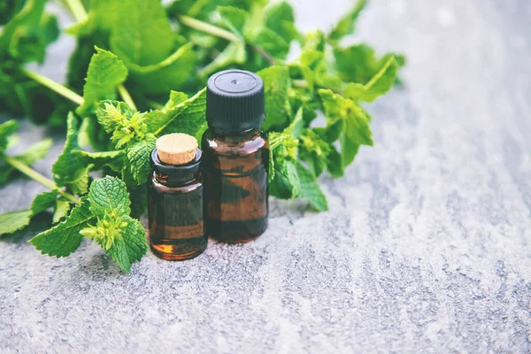 Peppermint Essential Oil Small Bottle Selective Focus Nature — Stock Photo, Image