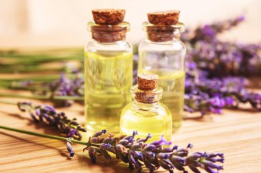 Lavanta yağı küçük bir şişede. Seçici odaklanma. Doğa.