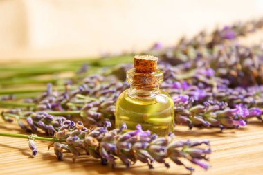 Lavanta yağı küçük bir şişede. Seçici odaklanma. Doğa.