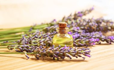 Lavanta yağı küçük bir şişede. Seçici odaklanma. Doğa.