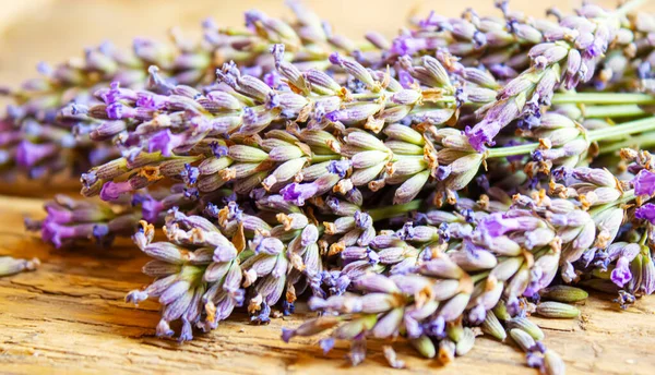 Dried Lavender Essential Oil Selective Focus Nature — Stock Photo, Image