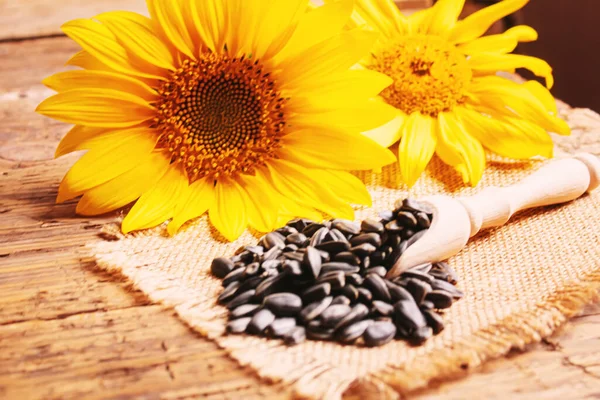 Sunflower seeds and oil bottle on old wooden background. Selective focus — Stock Photo, Image