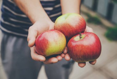 Elma hasadı bir adamın elinde. Seçici odaklanma. Doğa.