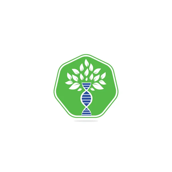 Dna Baum Vektor Logo Design Dna Genetische Ikone Dna Mit — Stockvektor