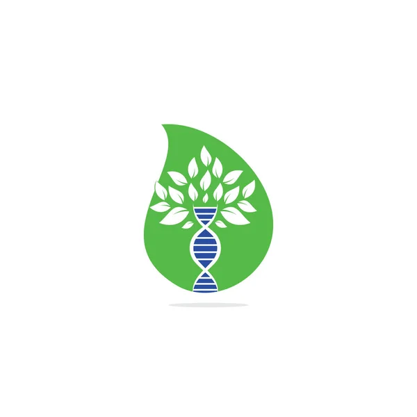 Dna Ağacı Damlası Konsept Vektör Logosu Tasarımı Dna Genetik Ikonu — Stok Vektör