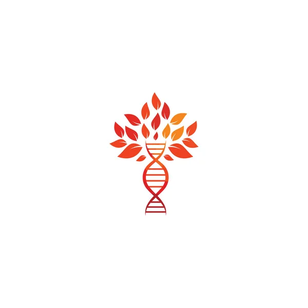 Dna Arbre Vecteur Logo Design Icône Génétique Adn Adn Avec — Image vectorielle