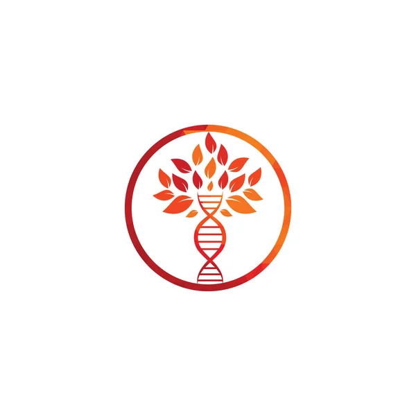 Dna Arbre Vecteur Logo Design Icône Génétique Adn Adn Avec — Image vectorielle