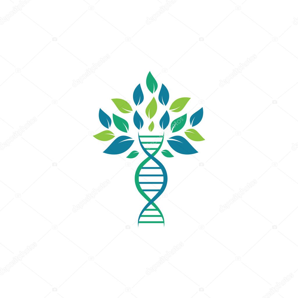 Dna tree vector logo design. DNA genetic icon. DNA with green leaves vector logo design.