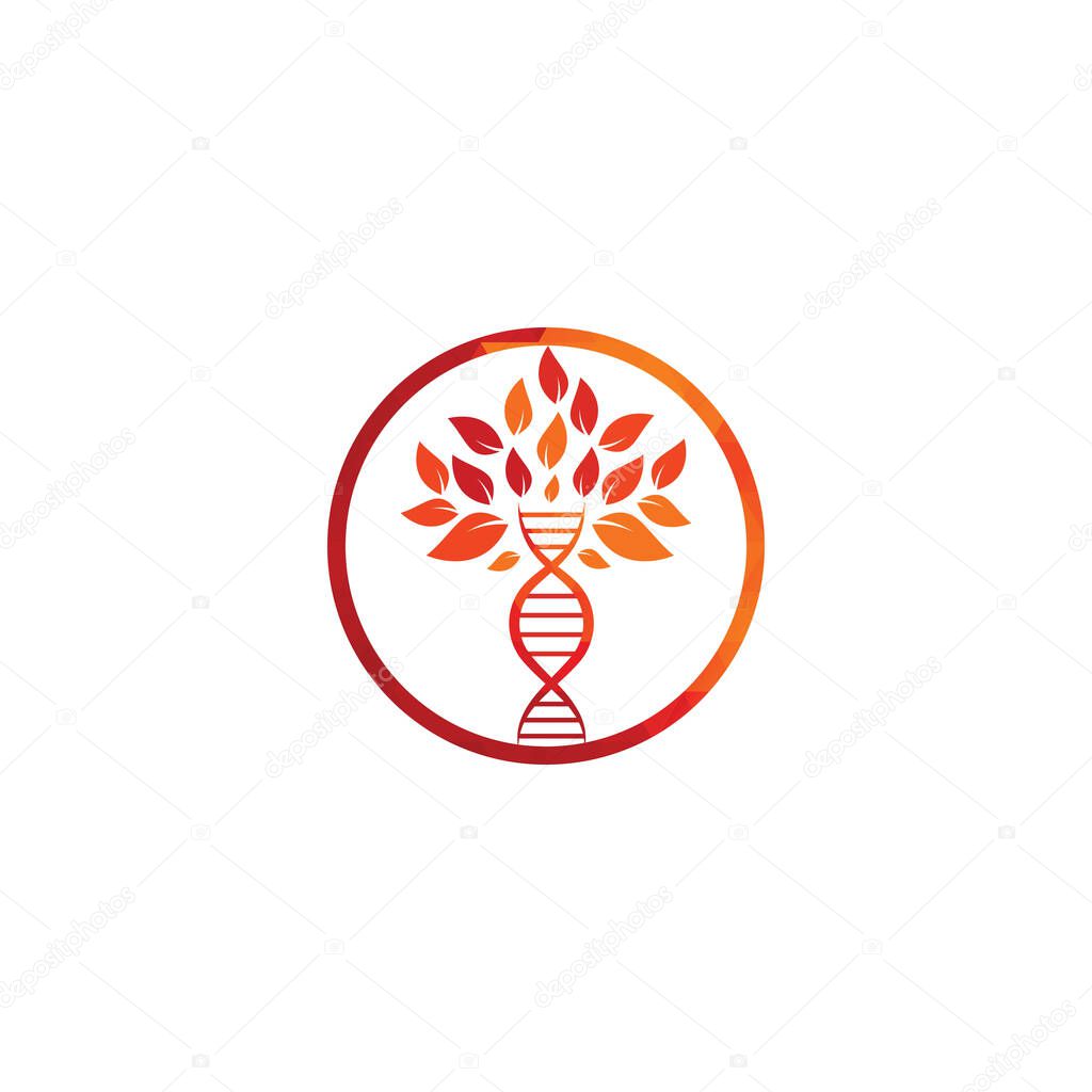 Dna tree vector logo design. DNA genetic icon. DNA with green leaves vector logo design.