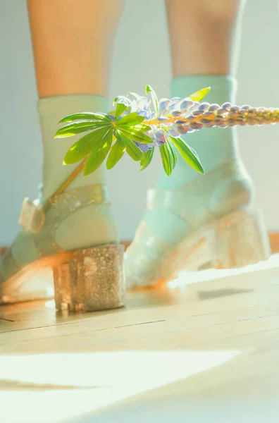 Mor lupin çiçeği ve cyan çoraplı parlak juju jölesi.