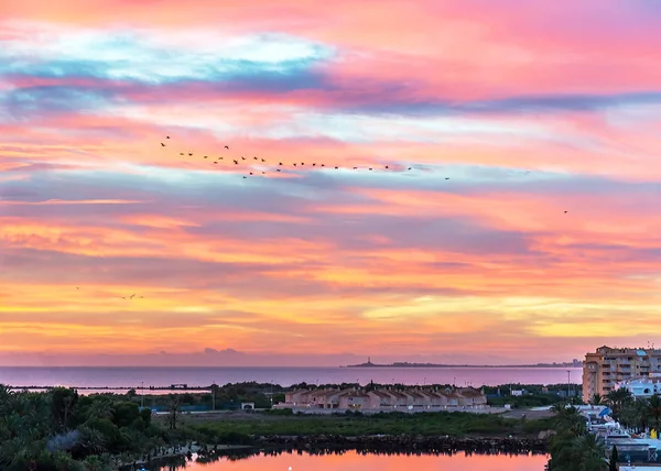 Birds in the sky at sunrise. La Manga. Spain